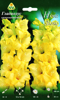 Семена цветов АПД Гладиолус Нова Люкс / A301751 (10шт)