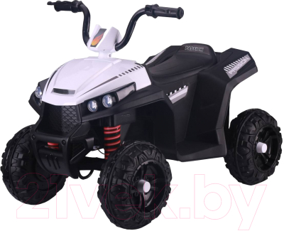

Детский квадроцикл Farfello, S601