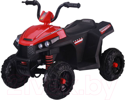 

Детский квадроцикл Farfello, S601