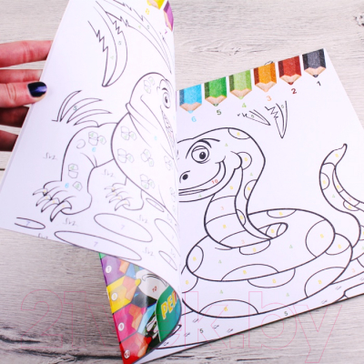 Изображение товара Раскраска Darvish Рептилии и амфибии / DV-8834