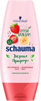 

Бальзам для волос Schauma, Энергия Природы Смузи Клубника Банан и Семена Чиа