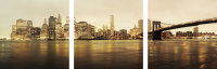

Картина модульная Citydecor, 3.11