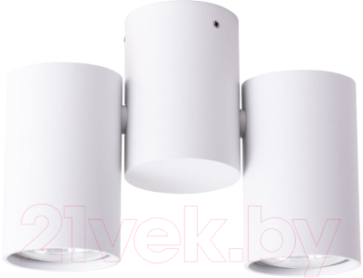 

Спот Arte Lamp, Gavroche A1511PL-2WH
