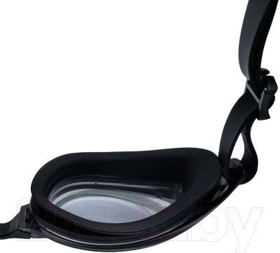 Очки для плавания Atemi B202 (черный/серый)