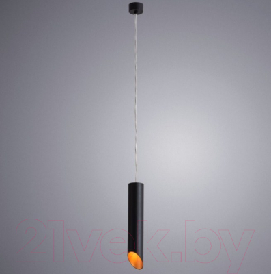 Потолочный светильник Arte Lamp Pilon-Gold A1536SP-1BK