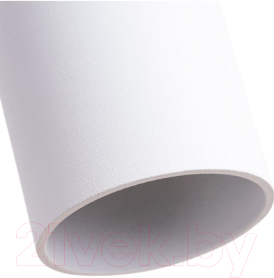 Потолочный светильник Arte Lamp Sirius A1524SP-1WH