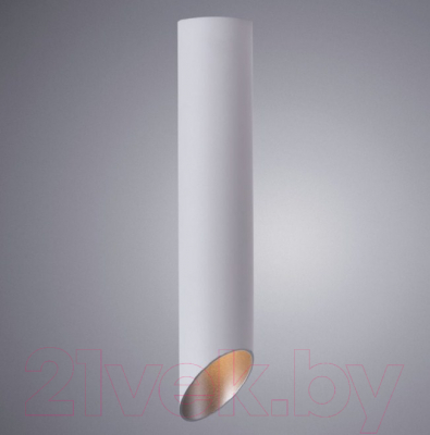 Изображение товара Потолочный светильник Arte Lamp Pilon-Silver A1536PL-1WH