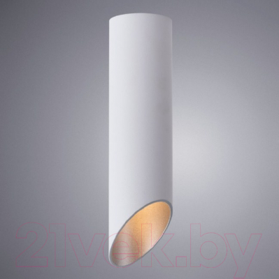Потолочный светильник Arte Lamp Pilon-Silver A1535PL-1WH