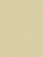 Рулонная штора Delfa Сантайм Лен СРШ-01 МД2875 (34x170, шампань) - 