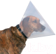 Миниатюра изображения товара Воротник защитный Trixie Veterinary / 19485 (L)