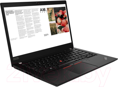 Ноутбук Lenovo ThinkPad T490 (20N20082RT)