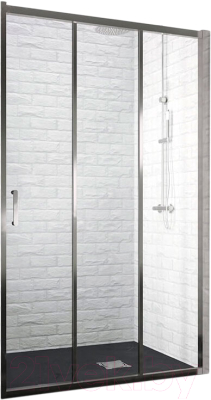 

Душевая дверь RGW, 06081312-11 PA-13