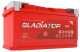 Автомобильный аккумулятор Gladiator EFB R+ (110 А/ч) - 