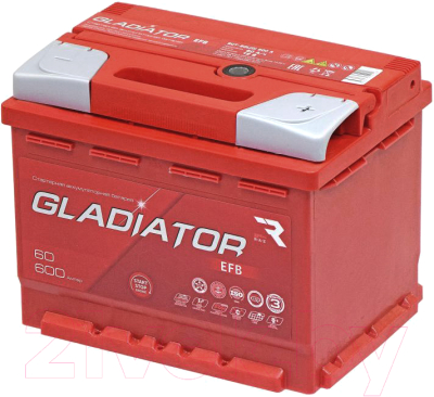 Автомобильный аккумулятор Gladiator EFB R+ (60 А/ч)