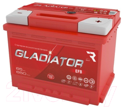 Автомобильный аккумулятор Gladiator EFB R+ (65 А/ч)