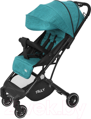 Детская прогулочная коляска Baby Tilly Bella T-163 (Pear Green)