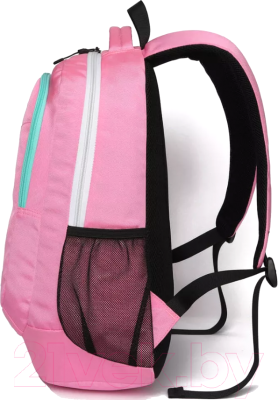 Школьный рюкзак Sun Eight SE-APS-5005 (розовый)