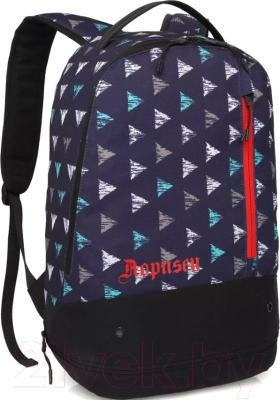 Школьный рюкзак Sun Eight SE-APS-5004 (синий/черный)