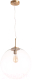 Потолочный светильник Arte Lamp Volare A1940SP-1AB - 