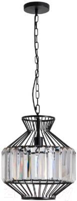 

Потолочный светильник Arte Lamp, Cassel A1789SP-1BK