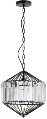 

Потолочный светильник Arte Lamp, Cassel A1790SP-1BK