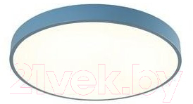 

Потолочный светильник Arte Lamp, Arena A2661PL-1AZ