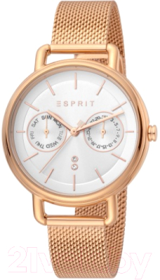 Часы наручные женские Esprit ES1L179M0095