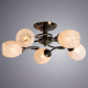 Миниатюра изображения товара Люстра Arte Lamp Arya A2941PL-5AB