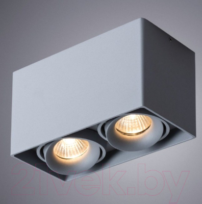 Изображение товара Комплект точечных светильников Arte Lamp Pictor A5654PL-2GY