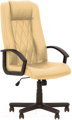 

Кресло офисное Nowy Styl, Elegant Tilt PM64