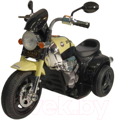 

Детский мотоцикл Farfello, TR1508A