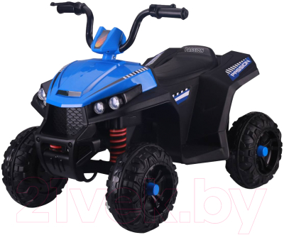 

Детский квадроцикл Farfello, S601