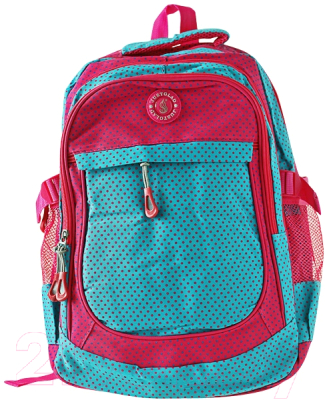 Школьный рюкзак Darvish DV-6195