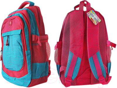 Школьный рюкзак Darvish DV-6195