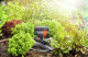 Миниатюра изображения товара Дождеватель Gardena AquaZoom Compact 18708-20