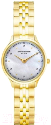 Часы наручные женские Pierre Cardin PC902682F305