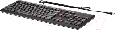 

Клавиатура HP, USB Bulk Pack 14 (QY776A6)