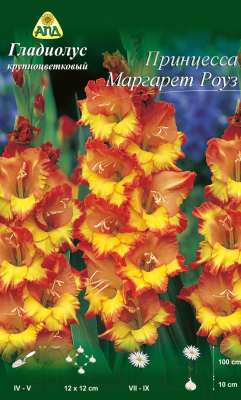 Семена цветов АПД Гладиолус Принцесса Маргарет Роуз / A30186 (10шт)