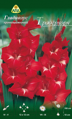 Семена цветов АПД Гладиолус Традерхорн / A30199 (10шт)