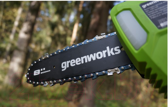 Сучкорез Greenworks G40PSF (1401107)