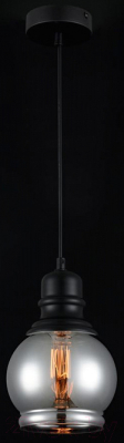 Потолочный светильник Maytoni Danas T162-11-B