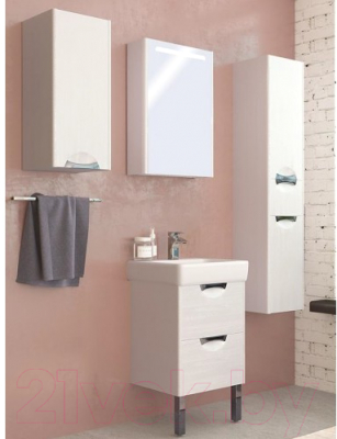 Шкаф с зеркалом для ванной Акватон Сильва 50 (1A215502SIW7L)