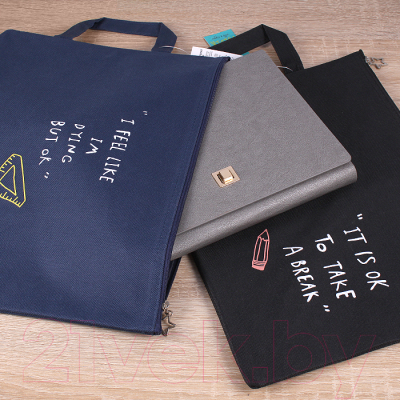 Изображение товара Папка-портфель Darvish DV-12510