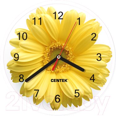Настенные часы Centek СТ-7102 (цветы)