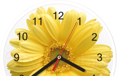 Настенные часы Centek СТ-7102 (цветы)