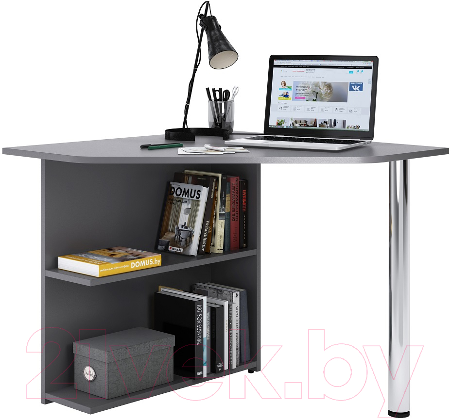 Письменный стол Domus Пайп-1 / 11.503L.01.02 (левый, серый)