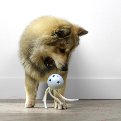 Игрушка для собак Petit Milo 309/449486 (голубой)