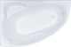 Ванна акриловая Triton Николь 160x100 R (с каркасом, экраном и сифоном) - 