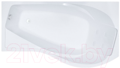 

Ванна акриловая Triton, Мишель 170x96 L