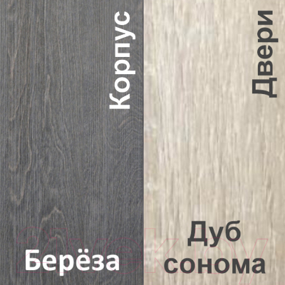 Шкаф-купе Кортекс-мебель Лагуна ШК04-00 (береза/дуб сонома, правая консоль)